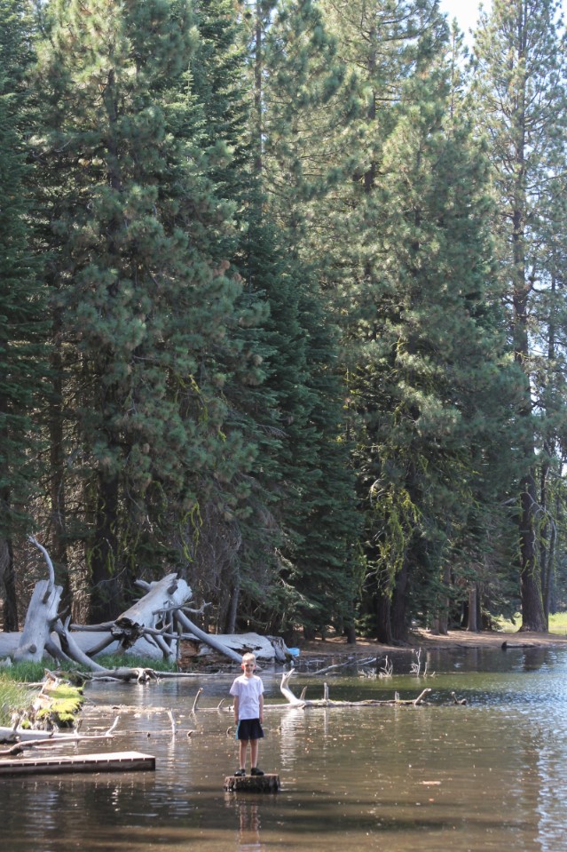 Adventures with Apple : Lassen Volcanic National Park — ciderpress lane